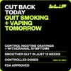 Blip Blip NRT Nicotine Gum - 2mg Mint Freeze Flavor