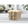 Handmade Goatmilk Soap, Two Butter Goatmilk Soap, Moisturizing Soap Bar