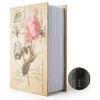 Diversion Book Safe Storage Box, Dictionary Secret Safe Can with