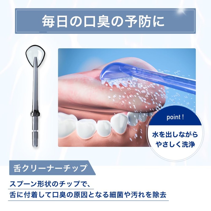 Waterpik Zungenreiniger fürWP-100E4 und WP-450E4 (2 Stck.)