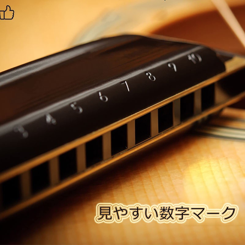 Blues Harmonica 10/24 Hole Stainless Steel C-Tone Airtight Beginner Advanced