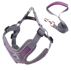 Wocharm Dogs Breathable Harness with Leash Adjustable Outdoor Walking Pet Puppy Vest （XS,Purple）