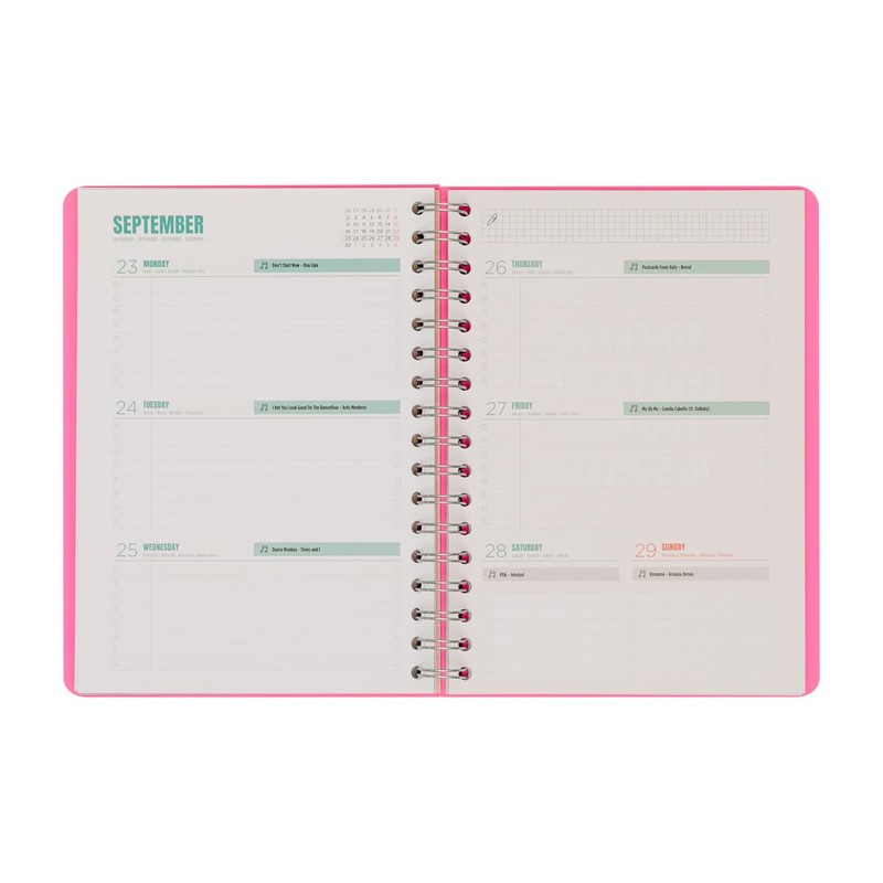 Mr.Wonderful Office Basic diary 2024 Week view, My big achievements