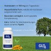 Curcumin Extract Capsules High Dose - 999 mg per Day
