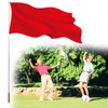 ValueHall Handheld Flagpole 2Pcs Lightweight Extendable Stainless Steel Handheld Flagpole