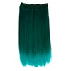 CAISHA 1T20C 5 Clips 60 cm One Piece Clip In