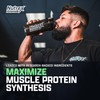 Nutrex Research Nutrex Research EAA Hydration | EAAs + BCAAs