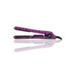 Infusion Purple Zebra