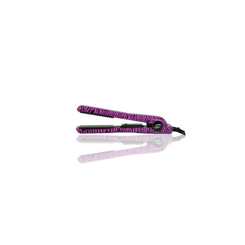Infusion Purple Zebra