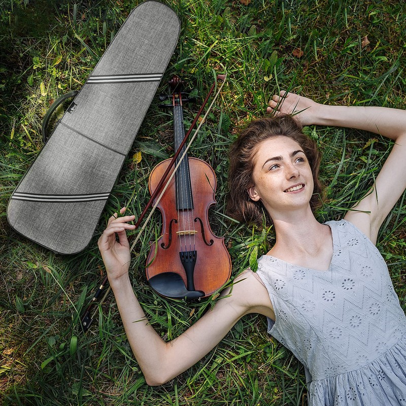 Aileen CSV502 Basic Professional 4/4 Full Size Violin Case Triangular