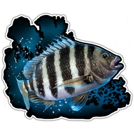 Sheepshead Sticker Fishing Sticker Fishing Ocean Sea Life Car Bumper Fish Vinyl Fish Sticker Decal for Vehicles Boats Laptops Windows Skateboards and Luggage Stickers for Men and Women 5"X4" sr61