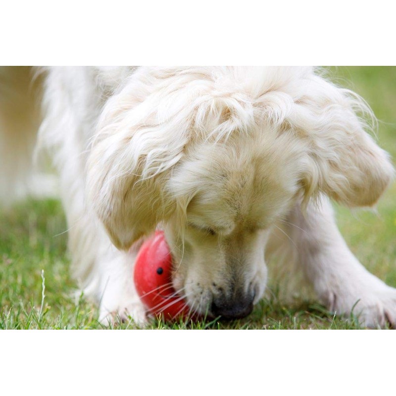 Petface Latex Tomato Soft Chew Dog Toy, Large