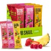 BOB SNAIL Healthy Organic Fruit Snacks for Kids and Adults