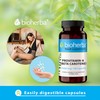 Beta-Carotene 300 Capsules 15000 mcg - High-Potency Provitamin A for