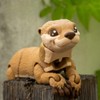 LIWA LIRO 3D Printed Otter, 3D Printed Animals, Full Articulated