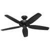 Hunter Fan Company 53294 Builder Elite Versatile Indoor/Outdoor 52 Inch