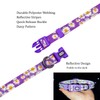 Olahibi Dog Collar and Leash Combo Set, Cute Daisy Pattern,