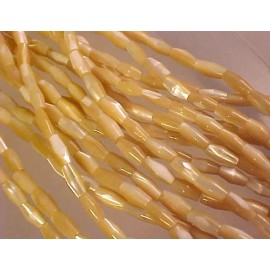 Gold Mother of Pearl Trocca Shell 10mm X 5mm Cone Bead Strands 16" strands