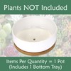 BambooMN Ceramic Succulent Planter Pots - 1 Pot - Round