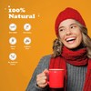 Pocas Honey Ginger Tea with Matcha 20 Packs