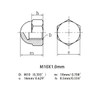 M10X1.0mm 304 Stainless Steel Fine Thread Hex Acorn Cap Nuts