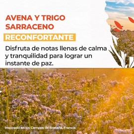 YVES ROCHER - Kit de Cremas Corporales Avena, Para Todo Tipo de Piel, Frmula Vegana, Textura Ligera, Incluye 2 Cremas 390 ml cu                       