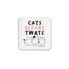 The Victorian Printing Co - Cats Before Tw*ts Funny Single