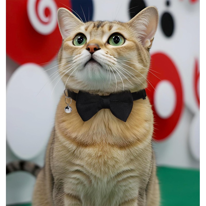 Dog Bow Tie Collar, Dog Collar with Bowtie Soft Velvet