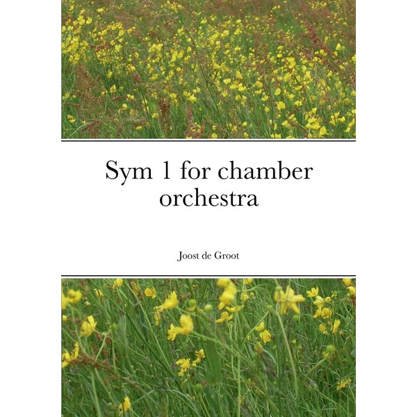 Sym 1 for chamber orchestra