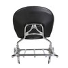 ECOTRIC Detachable Backrest Sissy Bar & Luggage Rack Compatible with