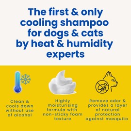 Paws of Soar No Wash Shampoo Waterless No Rinse Dog Dry Shampoo with Cooling effect to Clean for smelly dogs. Suitable Cat shampoo for dandruff. Developed with vet in Singapore- Minty Fresh- 6.8 fl oz