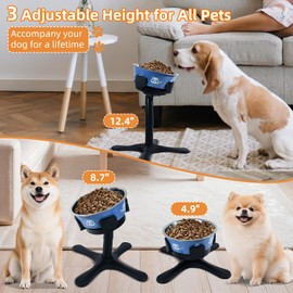 Elevated Dog Bowls Stand, Raised Dog Bowl with 3 Heights & Tilted Feeding Design, Fits 14-24.5cm Bowls, Bowl Stand for Large Breed, Medium & Small Dogs, Cats(2 Pack)