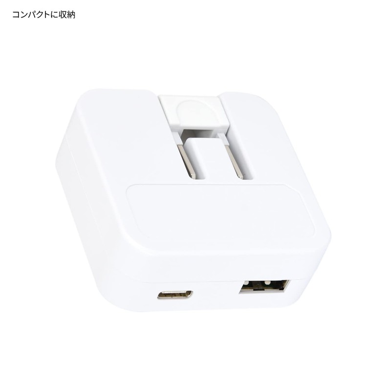 Gourmandies Ponkotsu Quest USB to USB Type-C AC Adapter Dot