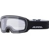 ALPINA NAKISKA OTG Dclear Ski Goggles, Anti-Fog, Extremely Robust &