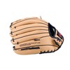 ZETT BDG324SVZ Catchball Gloves for Beginners, Includes Shock Absorbing Pads,