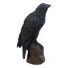 Ebros Gothic Raven Statue Crow Scavenger Bird Perching On Rock