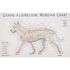Canine Meridian Acupressure Chart