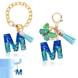 Ruqizhi Initial Letter 2PCS Keychain Cute Letter Charm Accessories with Butterfly Tassel for Cup with Handle for Women Girls