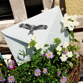 Dekolando Motif Stamp Red Kite Flying – Stamp Bird Milan Wooden Stamp – Imprint 58 x 28 mm