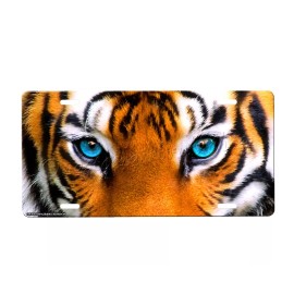 Onestopairbrushshop Tiger Eyes License Plate