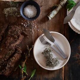 F. DICK Pure Metal Ajax 91586000 Steak and Table Fork Set (Steak Forks 4 Pieces, Fork Made of High-Quality Steel Alloy) 91586000, Stainless Steel