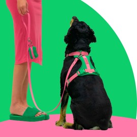 Pet Harness - No Pull Front & Rear Attachment | 4 Adjustable Straps | Breathable Neoprene Fabric | Room-to-Grow | Puppy Friendly (Watermelon Burst, Small)