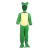 Frog Toddler Fancy Dress Costume Age 2-4