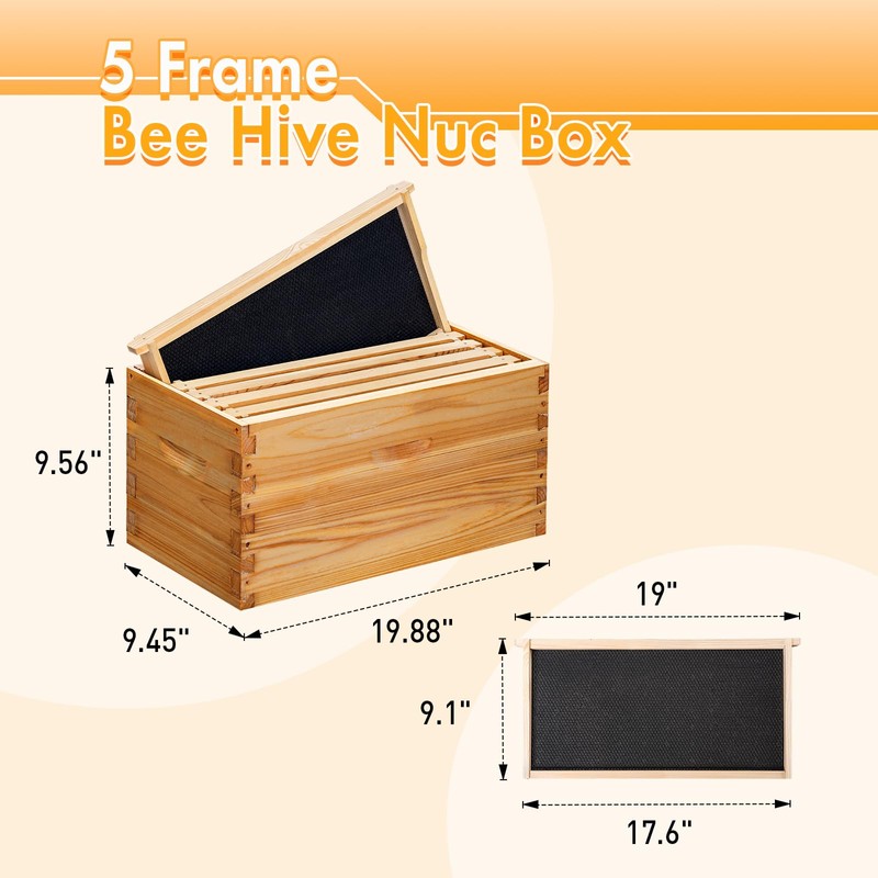ThxBees 5 Frame Nuc Beehive Kit, Complete Bee Hive Nuc