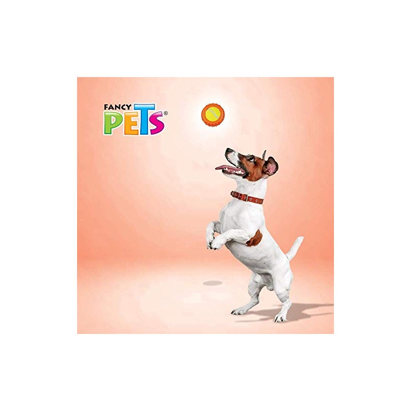 Fancy Pets Juguete con Pelota de Tenis para Perro