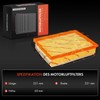 Frankberg Air Filter Insert Filter Diesel Compatible with A.u.r.i.s E18