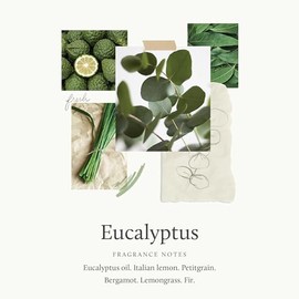 Thymes Eucalyptus Body Lotion 270ml/9.25oz
