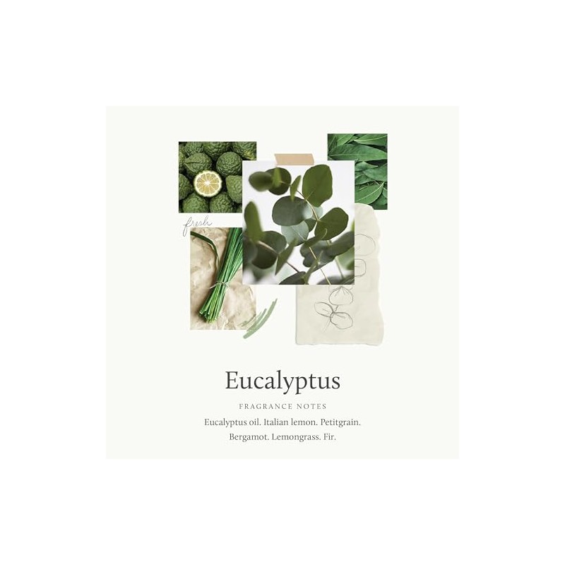 Thymes Eucalyptus Body Lotion 270ml/9.25oz