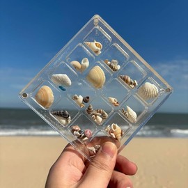 Mini caja de exhibición de conchas, caja de exhibición de conchas, cajas acrílicas para exhibición, conchas pequeñas para manualidades, cajas de sombra para estrellas de mar marinas, abalorio, uñas