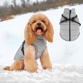 Waldspring Dog Coat for Small Dogs, Jacket for Small Dogs, Dog Raincoat, Small Dogs, Waterproof and Warm, Dog Clothes with Small and Medium Dogs (XS)